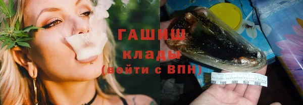 индика Волосово