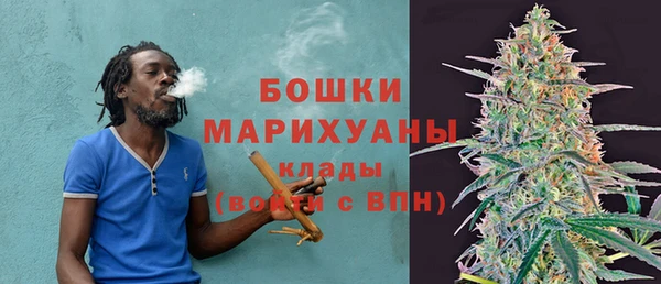 индика Волосово