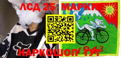 apvp Гатчина