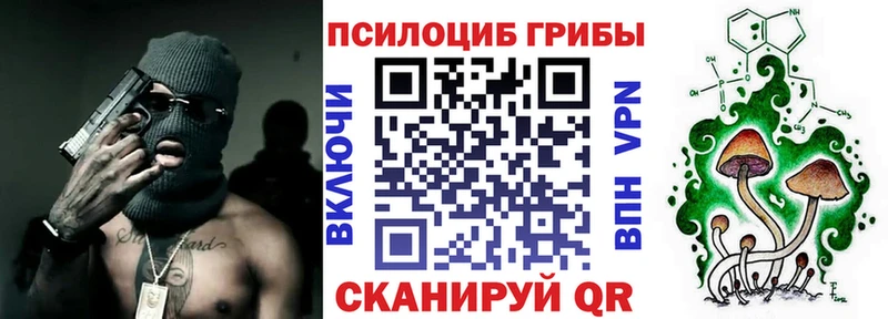Псилоцибиновые грибы Psilocybe  Всеволожск 