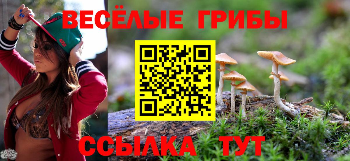 Псилоцибиновые грибы мухоморы Всеволожск