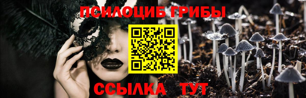 Галлюциногенные грибы мицелий Всеволожск